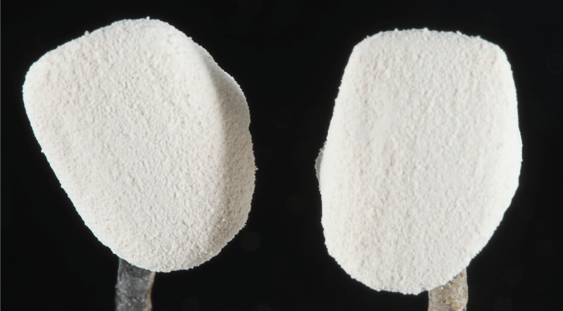 Mosóégetéshez kiegészítésként VITA SPRAY-ON OPAQUE POWDER A1 (OP1) port szórtunk fel.